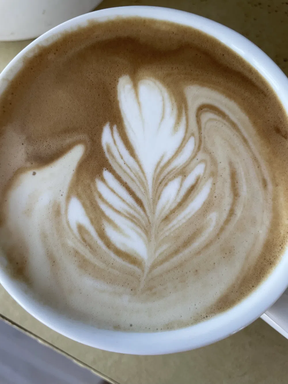 Best Coffee Shops in Windsor, Colorado: A Guide to the Finest Brews