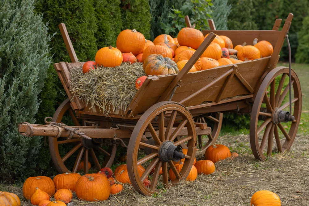 Upcoming Fall Events in the FM Area!