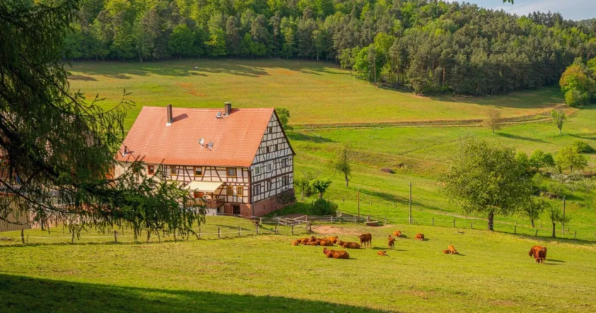 Exploring the Magic of Pole Barns in Guyton, Georgia