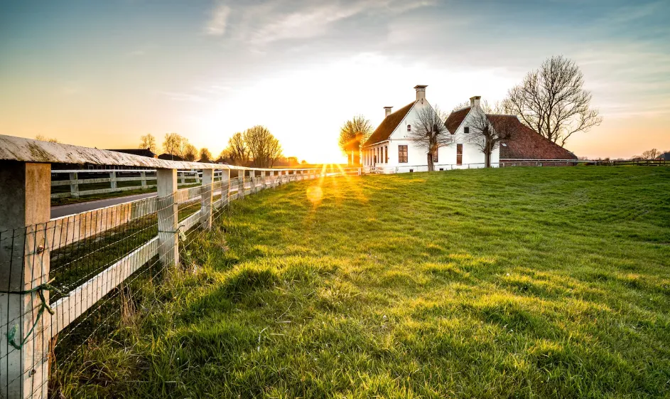 The Ultimate Guide to Finding the Best Pole Barns in Rincon, Georgia