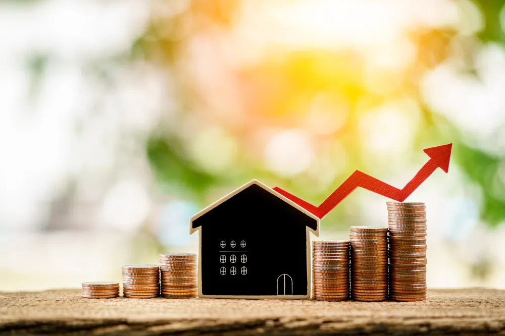Maximizing Property Value in Rocky Mount