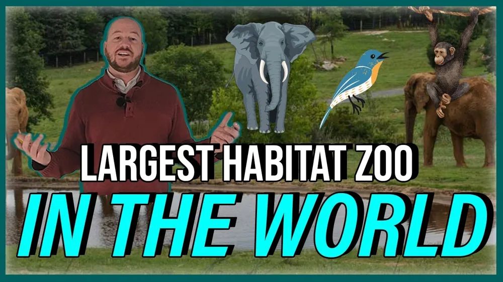 North Carolina Zoo Tour | Things To Do Linving In North Carolina