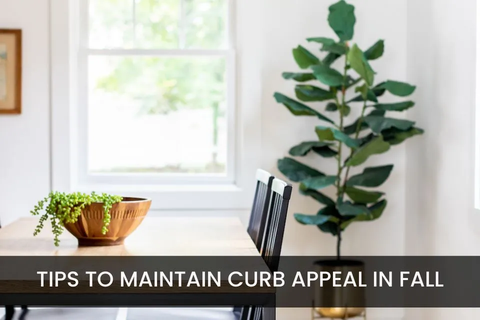 Best Practices To Maintain Curb Appeal In Fall