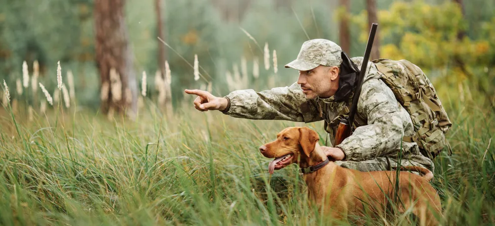 5 Things to Look for in Hunting Land for Sale in GA