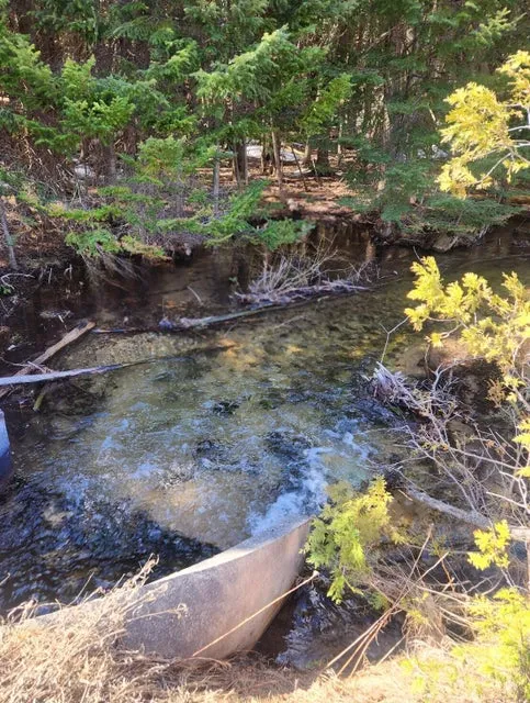 46.6 Acres of Vacant Land For Sale Boyne Falls, MI